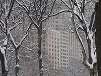 New York, Central Park - photographic inspiration