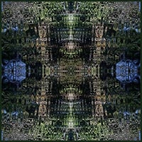 Sydney Botanical Gardens Reflections - silk scarf, single georgette/light crepe de chine, square 90cm x 90cm