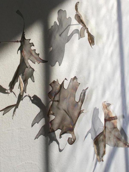 Canopy-Fallen.jpg Canopy-Fallen.jpg