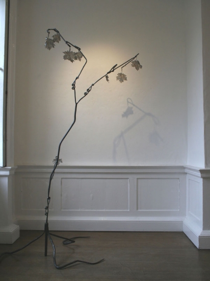Canopy-single tree Canopy-single tree