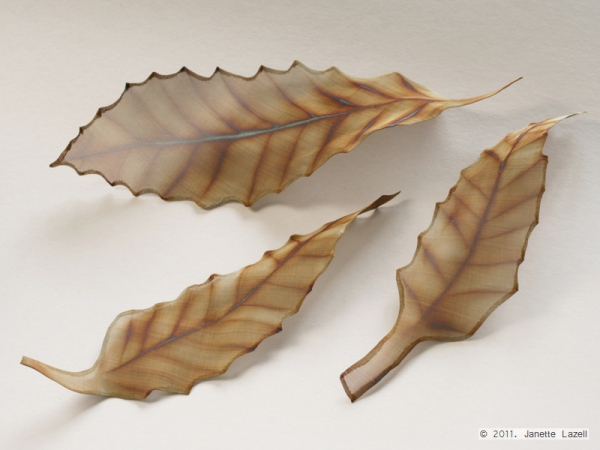 Quercus libani-The Lebanon Oak-stainless steel woven wirecloth leaf