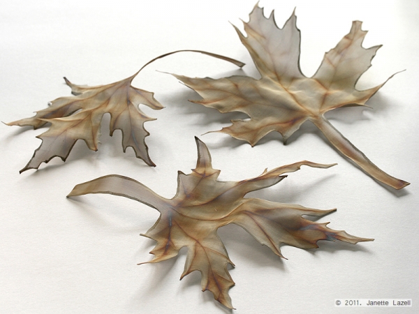 Acer Saccharinum-Silver Maple - stainless steel fabric leaf Acer Saccharinum-Silver Maple