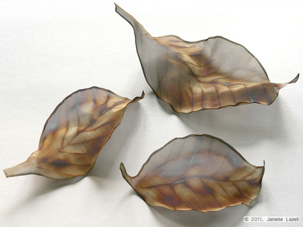 Stainless steel fabric leaf-Fagus Sylvatica-European Beech