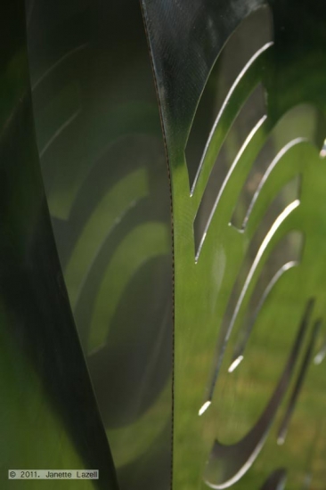 'Rain circles' close up