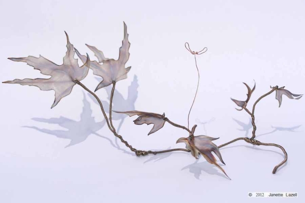'Autumn - Acer and seed' 'Autumn - Acer and seed'