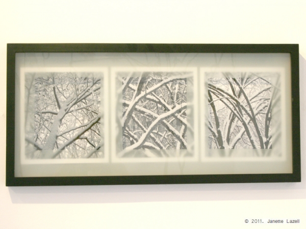3 images of winter branches covered in snow - printed on art paper --3 winter.jpg 3 images of winter branches covered in snow - printed on art paper --3 winter.jpg