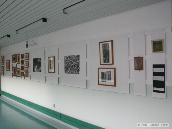 Closer-photographic exhibition-corridor 2 Closer-photographic exhibition