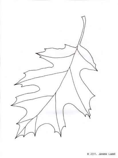 Oak-Quercus Rubra-Red Oak 1-line drawing