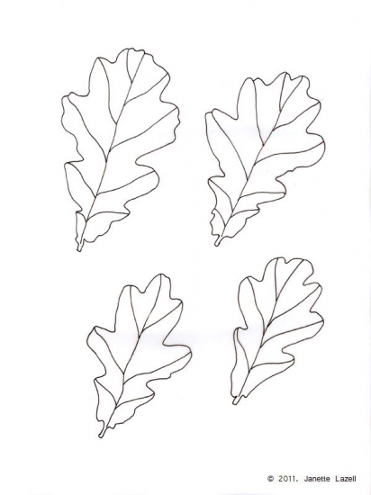 Oak-Quercus Robur-English Oak-line drawing