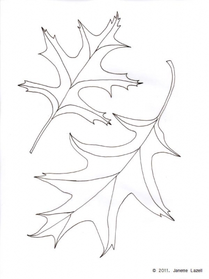 Oak-Quercus Palustris-Pin Oak 1-line drawing