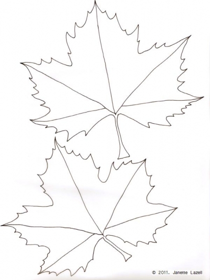 London Plane-Platinus x hispanica London Plane-Platinus x hispanica
