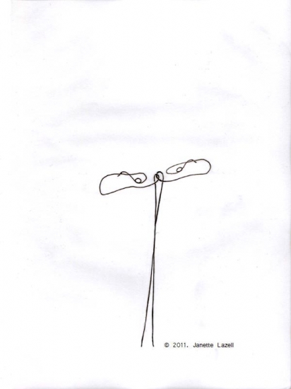 Sycamore Wings - line drawing Sycamore Wings - line drawing