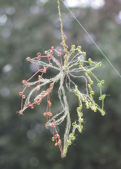 Wire Acer leaf (2) Wire Acer leaf (2)